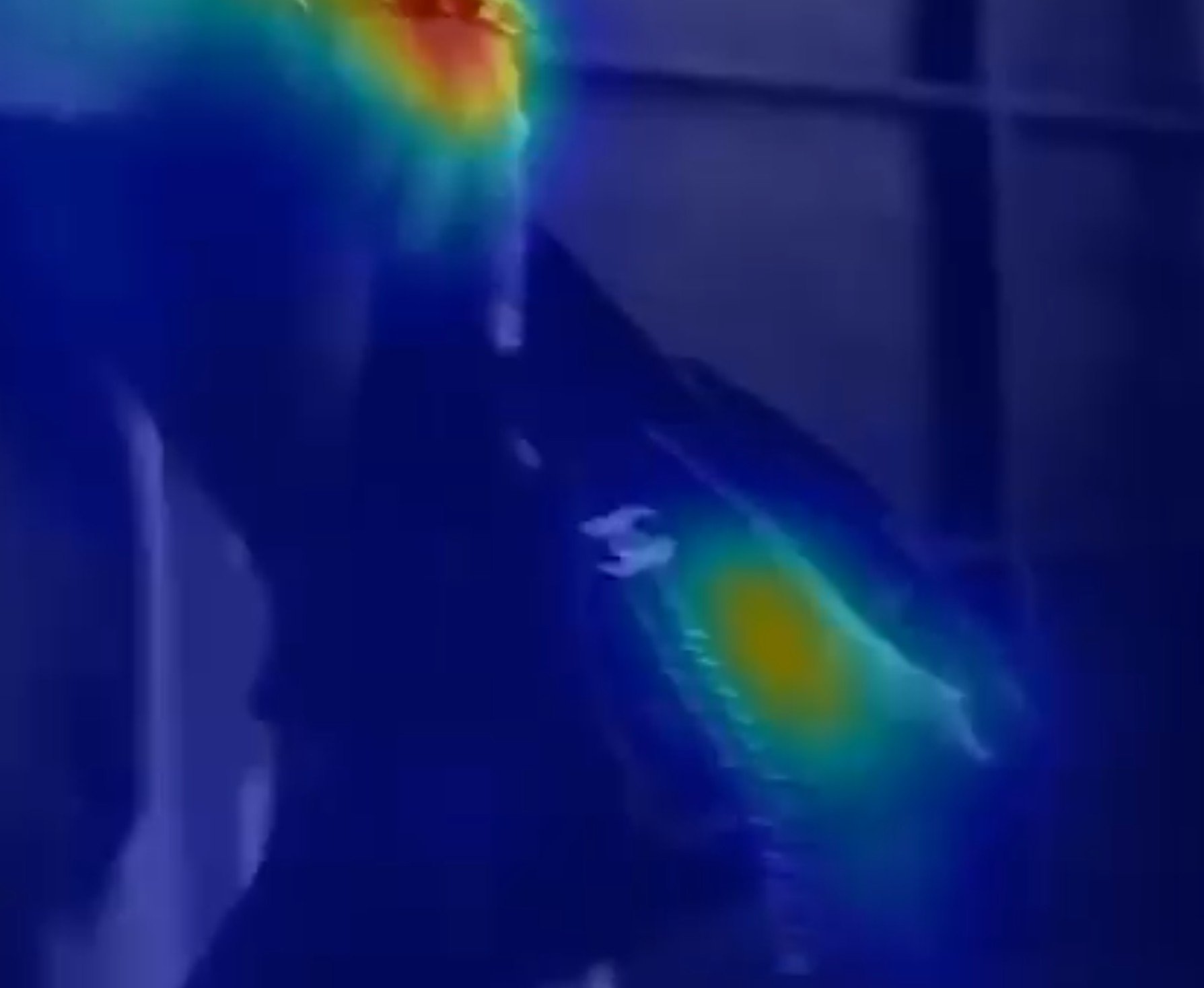 Peak arousal, peak recall